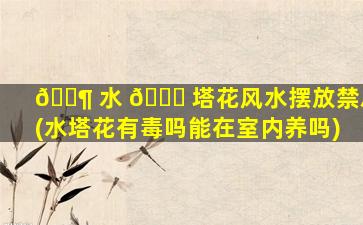 🐶 水 🐎 塔花风水摆放禁忌(水塔花有毒吗能在室内养吗)